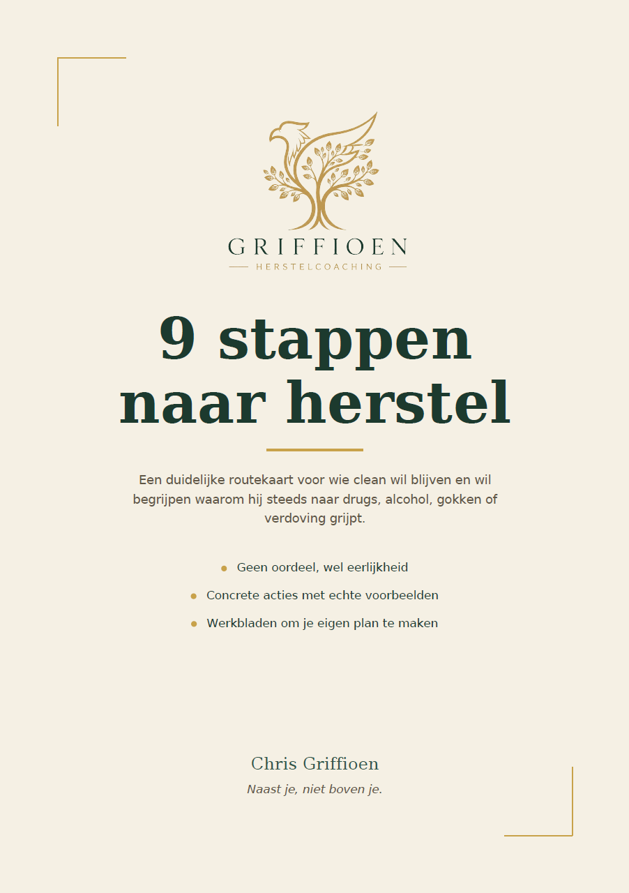 Cover van het e-book 9 stappen naar herstel