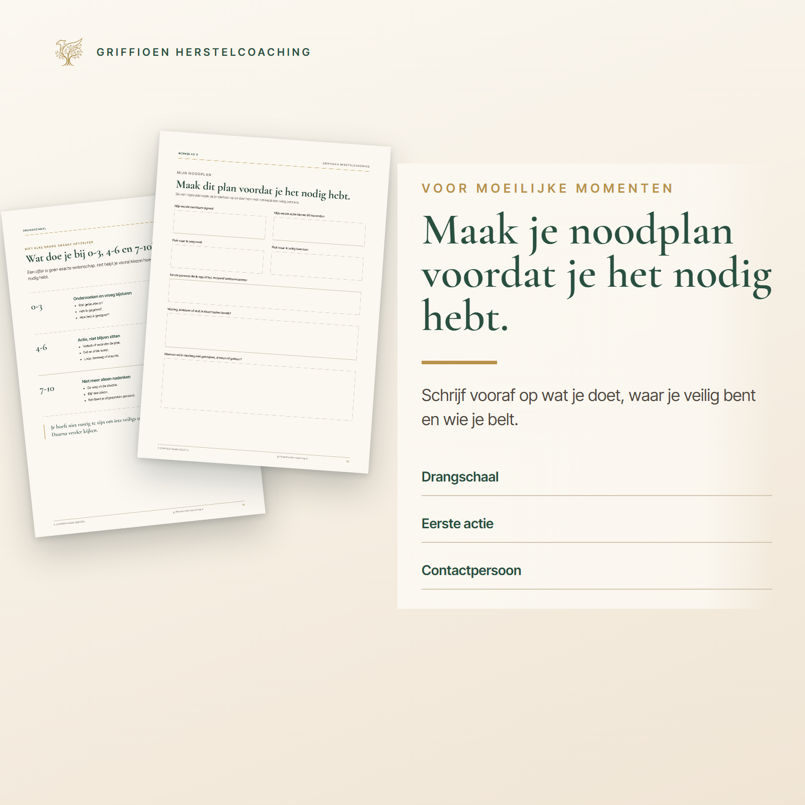 Voorbeeld van het persoonlijke noodplan