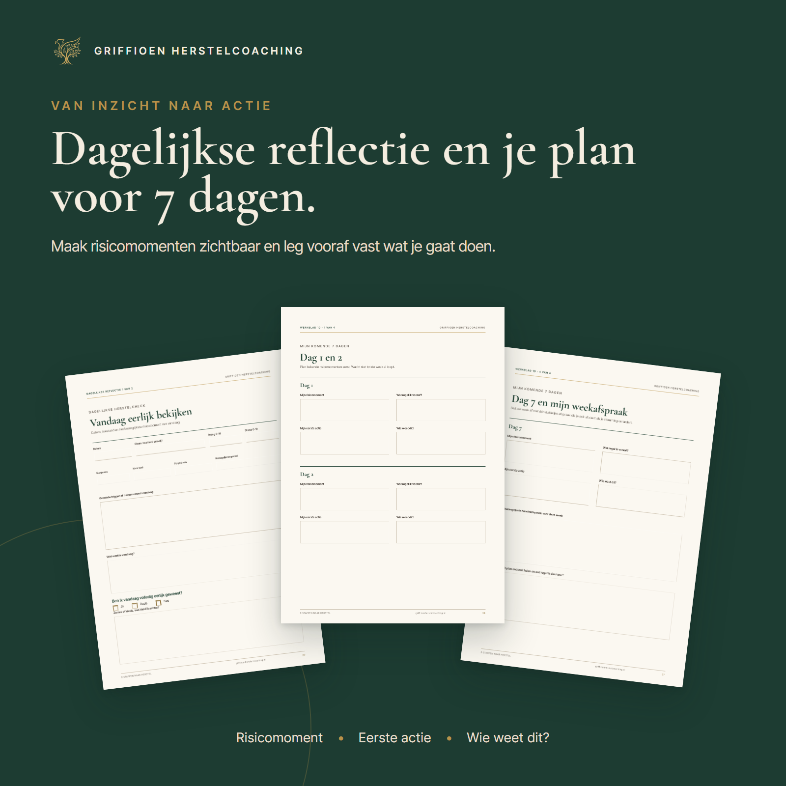 Voorbeeld van de dagelijkse reflectie en het zevendagenplan