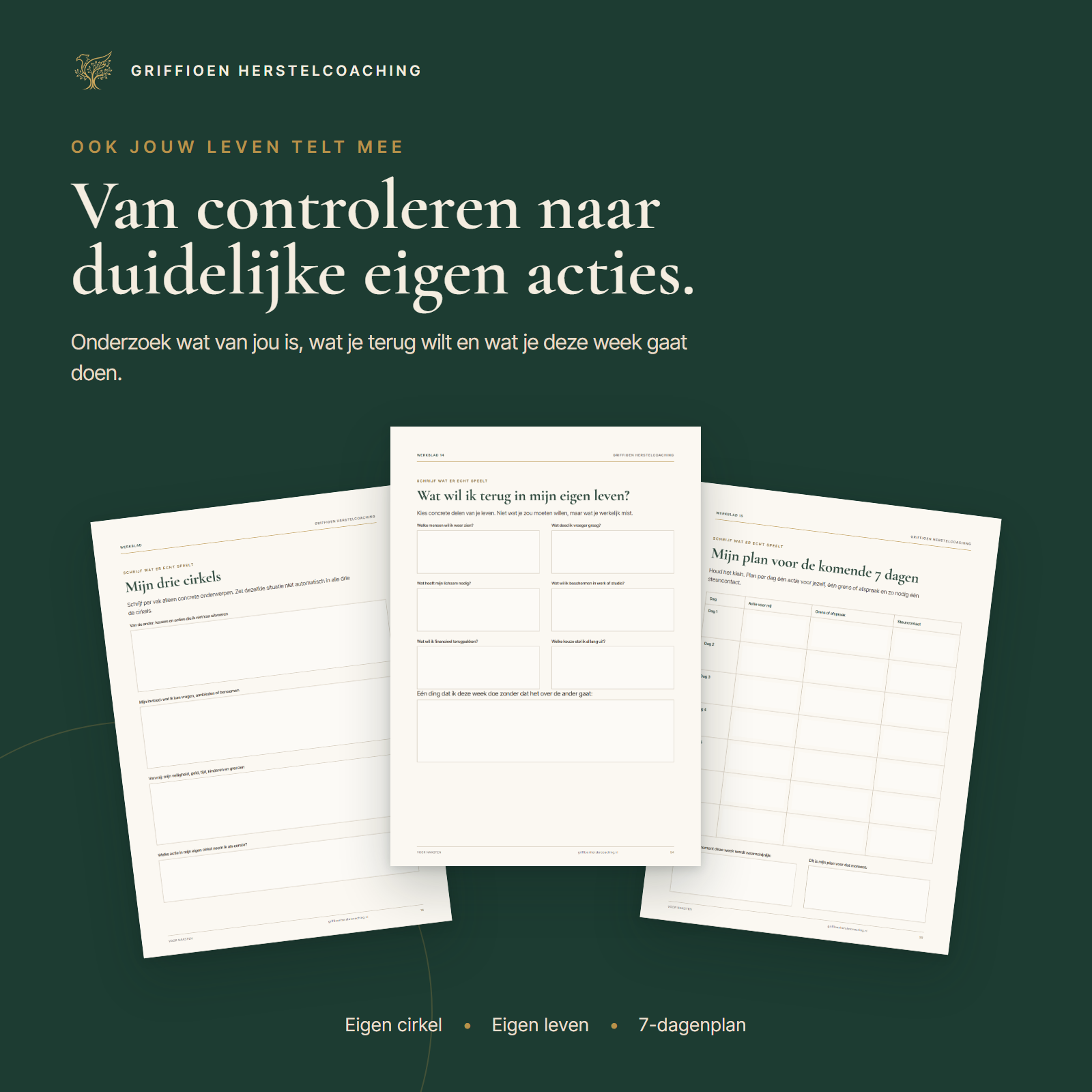 Voorbeeld van het plan voor je eigen leven en komende week